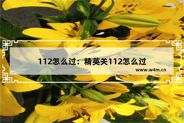 112怎么过：精英关112怎么过