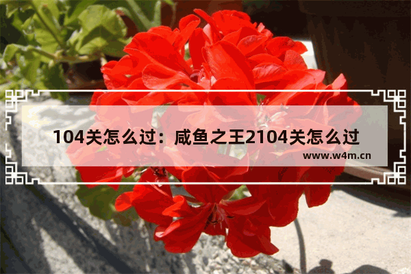 104关怎么过：咸鱼之王2104关怎么过