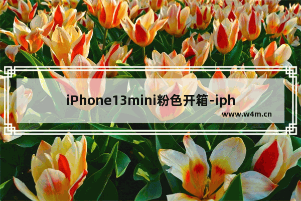 iPhone13mini粉色开箱-iphone13mini粉色开箱视频