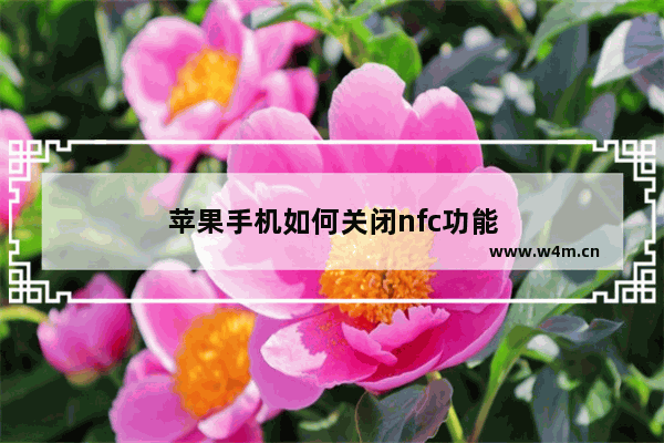 苹果手机如何关闭nfc功能