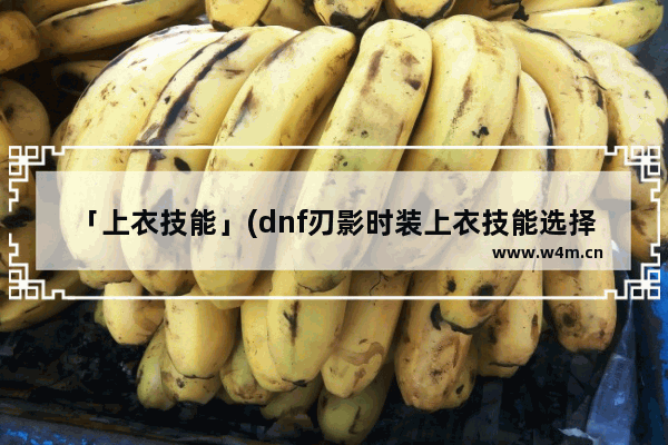 「上衣技能」(dnf刃影时装上衣技能选择什么)