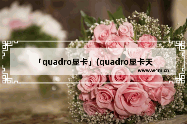 「quadro显卡」(quadro显卡天梯图)