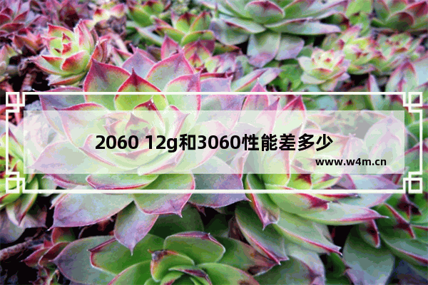 2060 12g和3060性能差多少