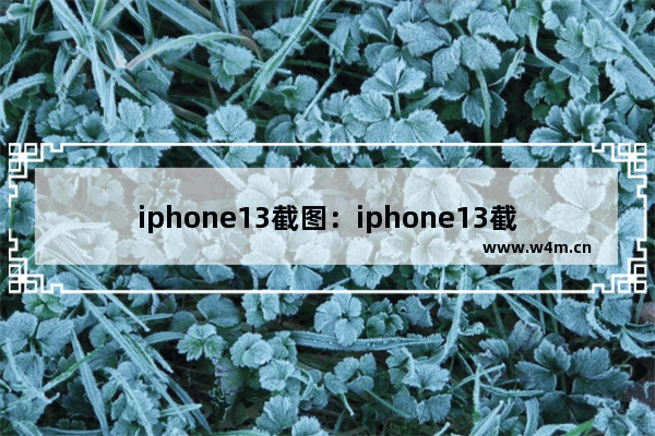 iphone13截图：iphone13截图加壳指令库