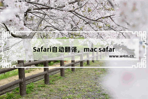 Safari自动翻译，mac safari自动翻译