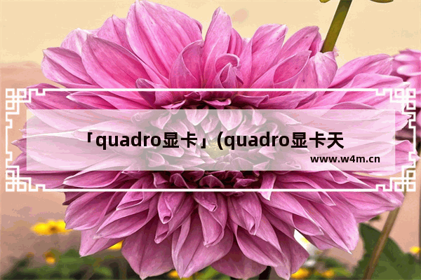 「quadro显卡」(quadro显卡天梯图)