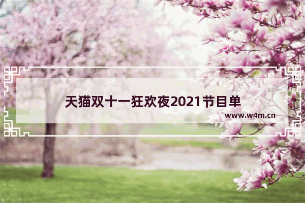 天猫双十一狂欢夜2021节目单