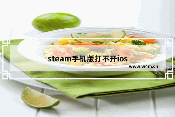 steam手机版打不开ios