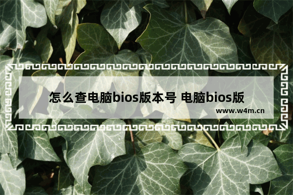 怎么查电脑bios版本号 电脑bios版本号查找技巧