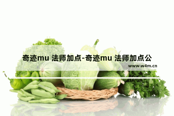 奇迹mu 法师加点-奇迹mu 法师加点公式