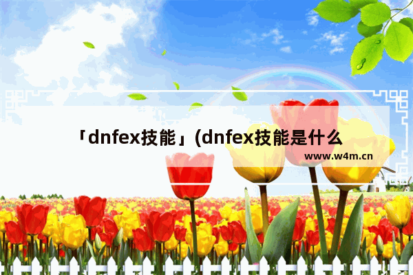 「dnfex技能」(dnfex技能是什么意思)