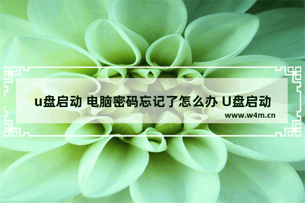 u盘启动 电脑密码忘记了怎么办 U盘启动忘记电脑密码怎么办