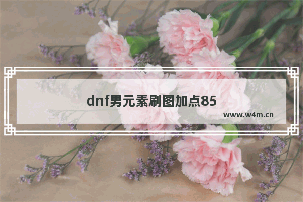 dnf男元素刷图加点85