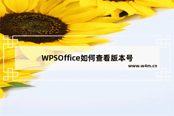 WPSOffice如何查看版本号