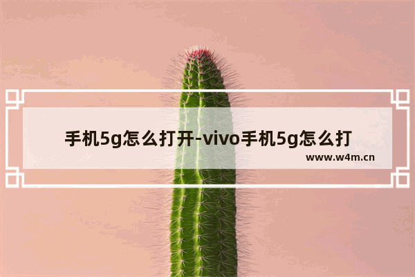 手机5g怎么打开-vivo手机5g怎么打开