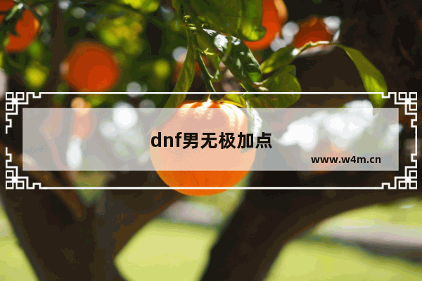 dnf男无极加点