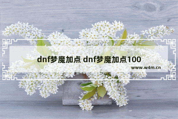 dnf梦魔加点 dnf梦魔加点100