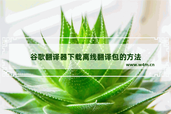 谷歌翻译器下载离线翻译包的方法