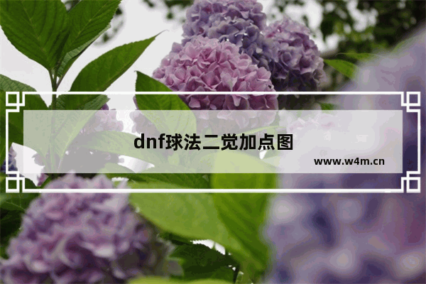 dnf球法二觉加点图