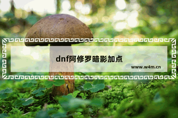 dnf阿修罗暗影加点