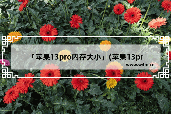 「苹果13pro内存大小」(苹果13pro内存大小怎么选)