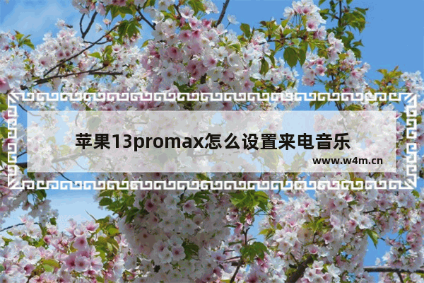 苹果13promax怎么设置来电音乐