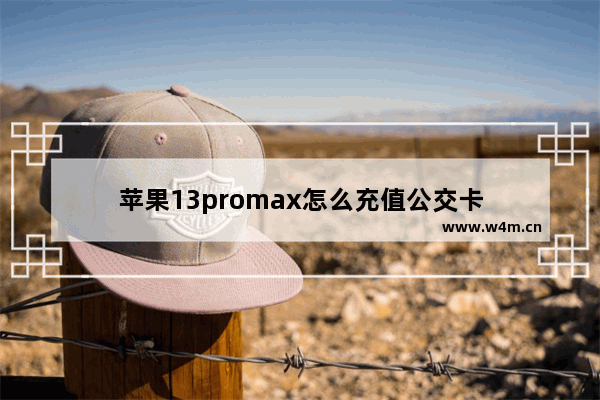 苹果13promax怎么充值公交卡