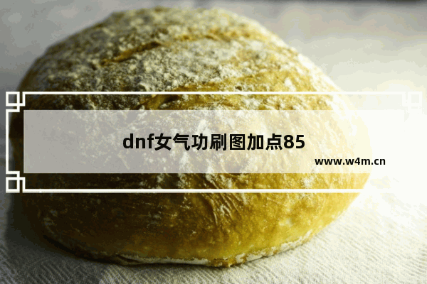 dnf女气功刷图加点85