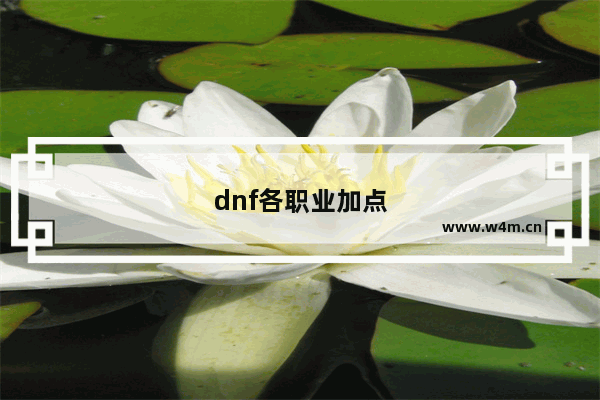 dnf各职业加点