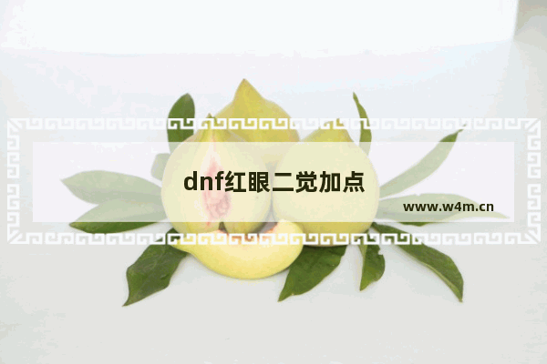 dnf红眼二觉加点