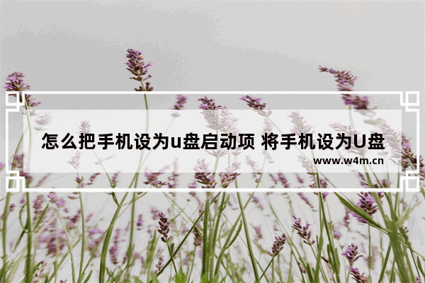 怎么把手机设为u盘启动项 将手机设为U盘启动项的方法