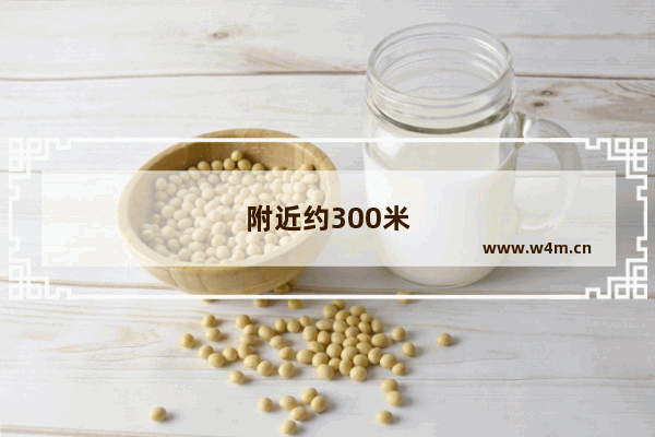 附近约300米