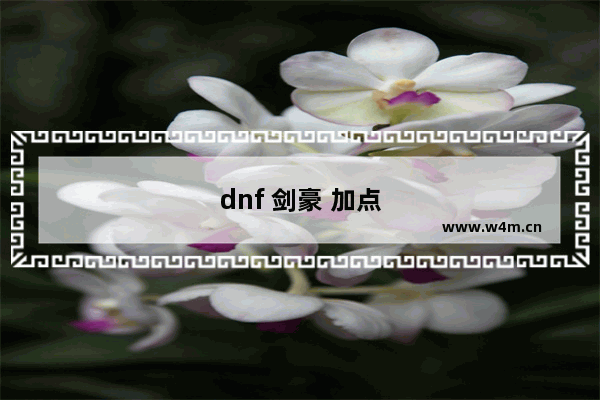 dnf 剑豪 加点