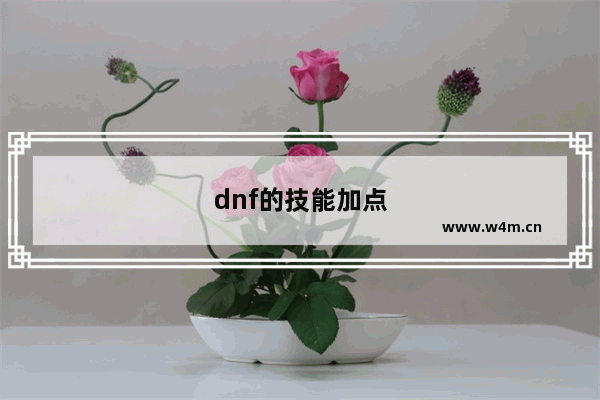 dnf的技能加点