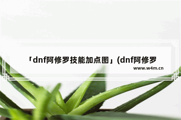 「dnf阿修罗技能加点图」(dnf阿修罗技能加点图消失)