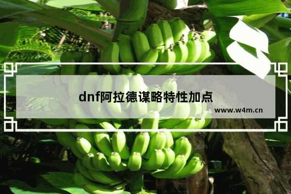 dnf阿拉德谋略特性加点