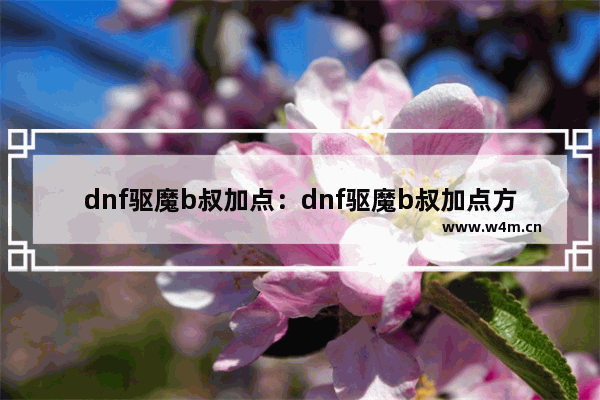 dnf驱魔b叔加点：dnf驱魔b叔加点方案