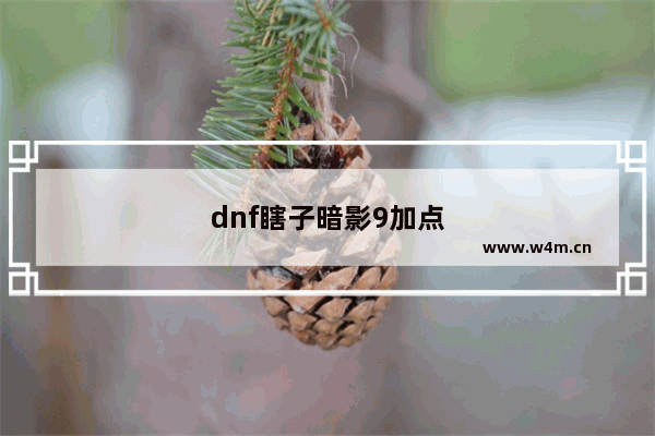 dnf瞎子暗影9加点