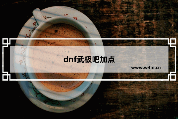 dnf武极吧加点