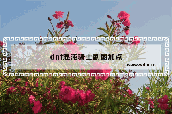 dnf混沌骑士刷图加点