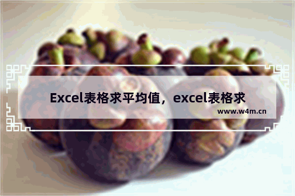 Excel表格求平均值，excel表格求平均值怎么操作求个人