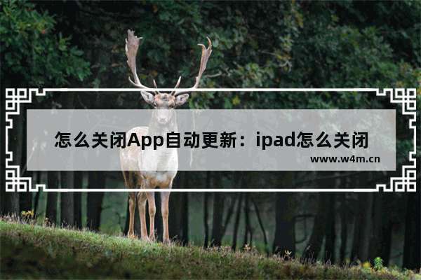 怎么关闭App自动更新：ipad怎么关闭app自动更新