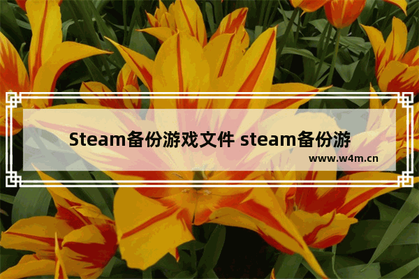 Steam备份游戏文件 steam备份游戏文件怎么恢复