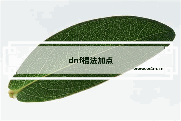 dnf棍法加点