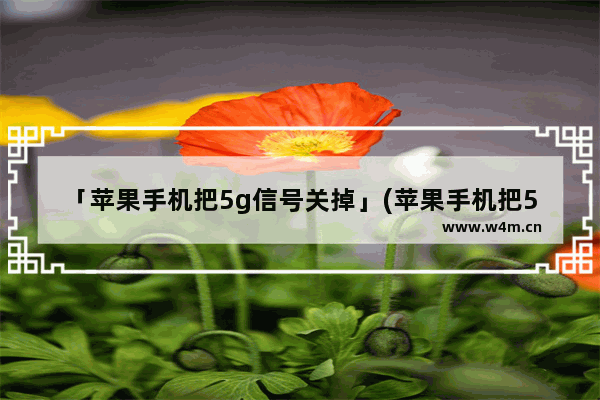 「苹果手机把5g信号关掉」(苹果手机把5g信号关掉怎么开)