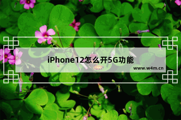 iPhone12怎么开5G功能