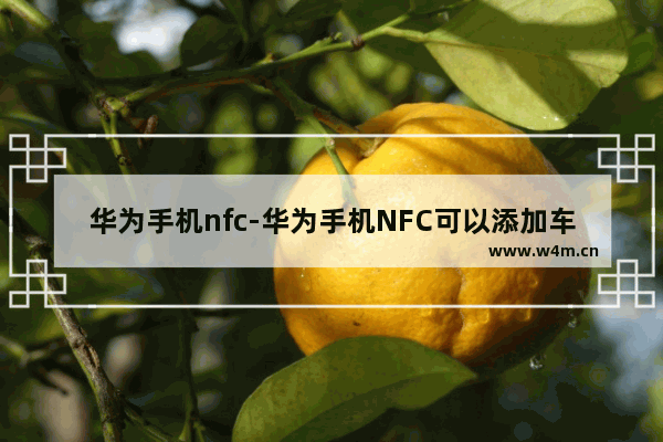 华为手机nfc-华为手机NFC可以添加车钥匙吗