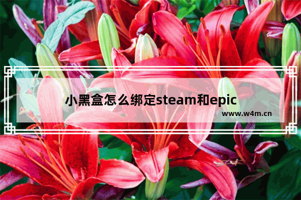 小黑盒怎么绑定steam和epic