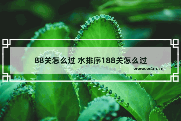 88关怎么过 水排序188关怎么过