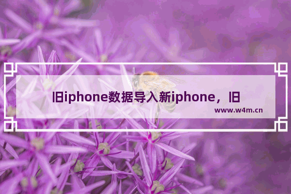 旧iphone数据导入新iphone，旧iphone数据导入新iphone中断怎么办